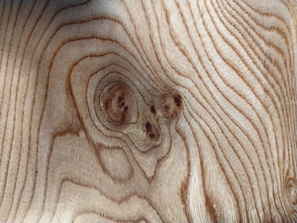 Macro of planed timber showing growth rings flowing around a knot cluster